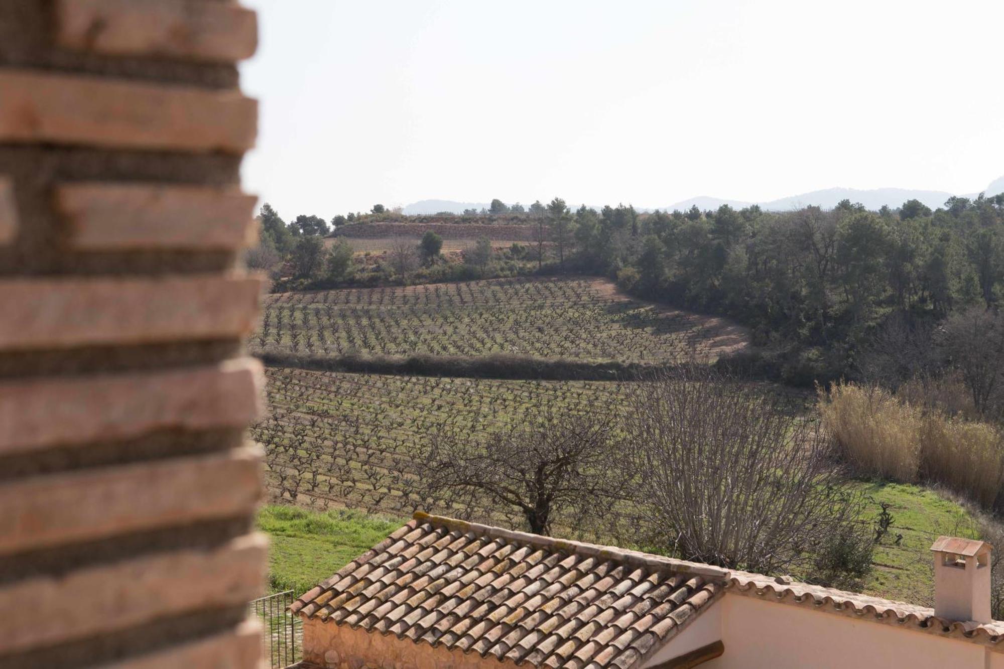 El Pla de Manlleu Casa Rural Masia Les Apieres المظهر الخارجي الصورة